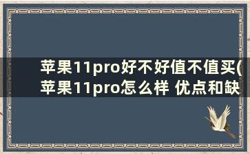 苹果11pro好不好值不值买(苹果11pro怎么样 优点和缺点)